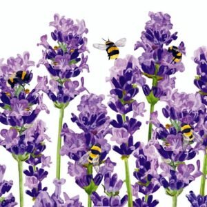 Napkin/Beverage - "Bees & Lavender" - Pkg of 20, 3-Ply Paper Paperproducts Design